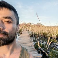 Mario Hernández's Photo