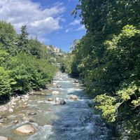 Iris Kientzler's Photo