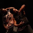 Bilder von SPECTACLE DE DANSE: EPURRS