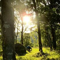 Фотографии пользователя George Salt