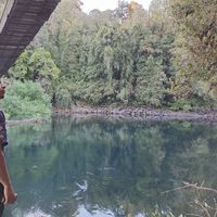 Guillermo Arroyo Steffens's Photo