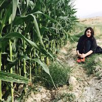 Le foto di ati amirii