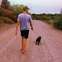 Augus Stortini的照片