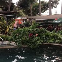 Yuleika Ferrer的照片