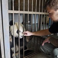 Thomas Hovland的照片