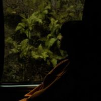 Sonia Mohseni's Photo