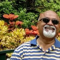 Casey Mistry's Photo