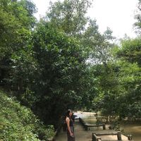 Lisa  Cariaga's Photo