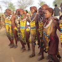 Casa De witt的照片