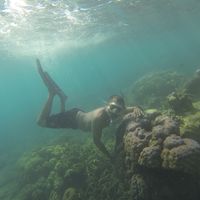 erman Budiono's Photo