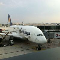 Sulaiman  Alsalameh's Photo