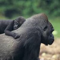 Fotos von rogers mihigo