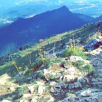 Fotos de Constance Ogier