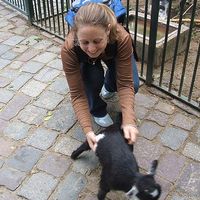 Katie Singles的照片