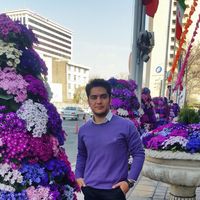 Amir Hassanvand的照片