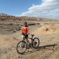 Ardilla  de la Mente的照片