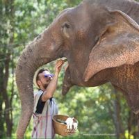 Fotos de Giandomenico Basile