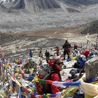 Alex Kirshner的照片