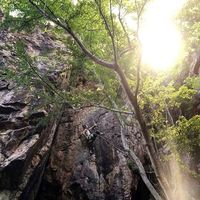 Checha Verdelita的照片