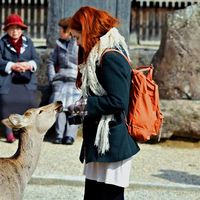 Fotos de Ida Lämsä