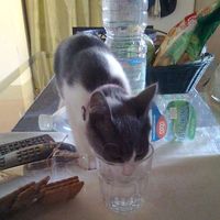 Monica Barone's Photo