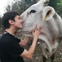 Fotos de Manuel Ceccarelli