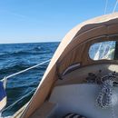 Lets Sail!'s picture