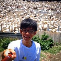 Harris Chen的照片