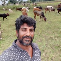 Ragavendiran A's Photo