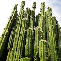 Fotos von Marc Solano