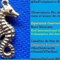 Esperanza Hernandez's Photo