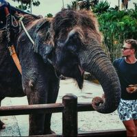 Sergey Kotsyuba的照片