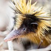 Fotos de Jeray Norman