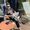 Mel A.'s Photo