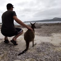 Alexander Traub的照片