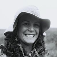 Fotos von Sarah Vazquez