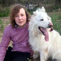 Andrew Thomas's Photo