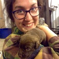 Maggie O'Brien's Photo