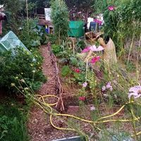 Océane Moon's Photo