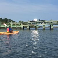 Fernando Alvarez-Gonzalez的照片