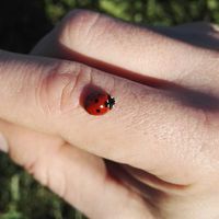 Danilo Fortunato's Photo