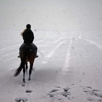 Sylwia Kruk的照片