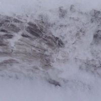 Photos de Jude Gabriel