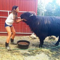 Chelsea Janssen's Photo