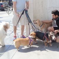 Khushbir Khaira的照片