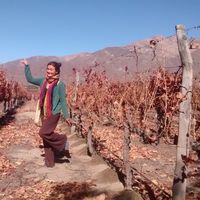 Carolina Galindo's Photo