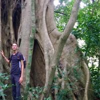 David Tüchler's Photo