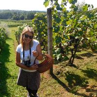 Silvija Bajuk的照片