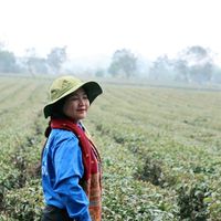 Mai Tuyết's Photo