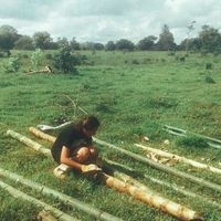 Nilda Rodriguez的照片